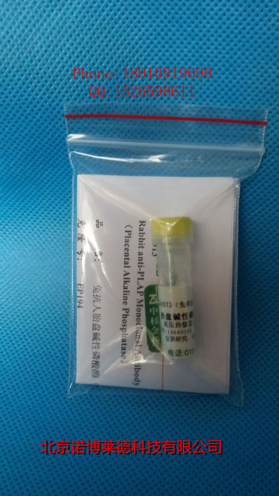 中杉金桥 胎盘碱性磷酸酶  现货包邮  ZA-0513 0.1ml