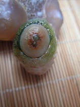Surface eye stone Gobi eye agate rough stone eye agate money stone sky eye stone - Annunciation bird