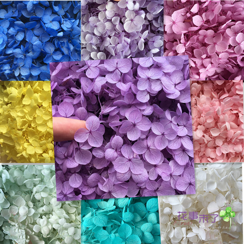 Anna leaflet hydrangea three-dimensional flower eternal flower UV glue good partner Necklace bracelet ear needle brooch 0 5g bag