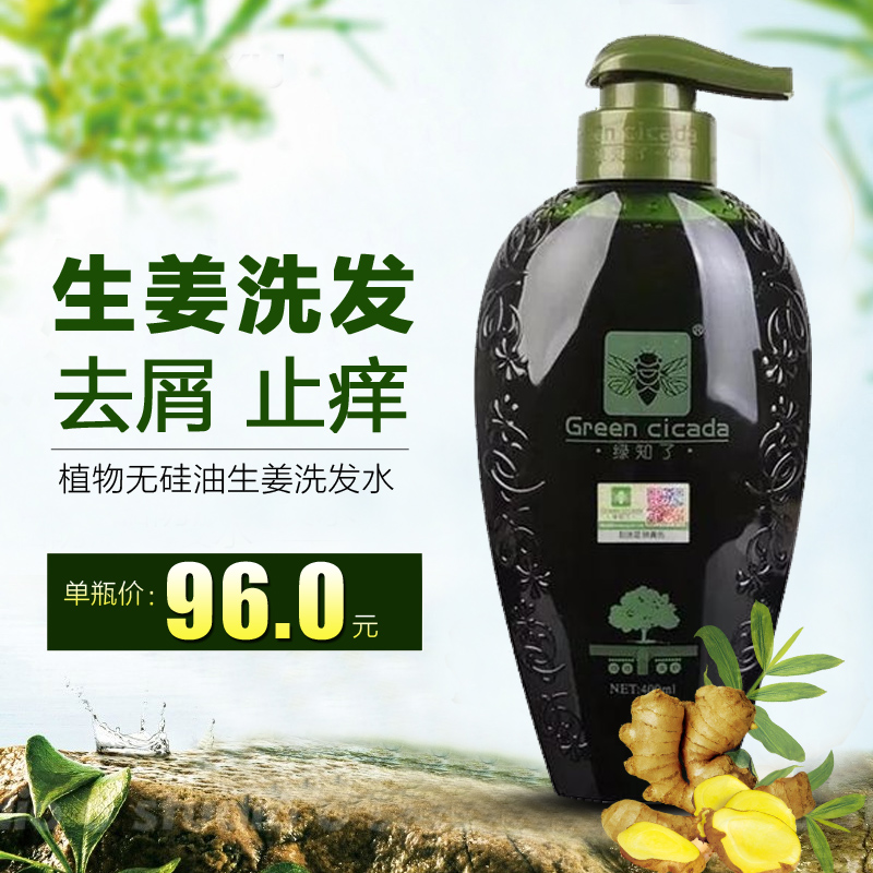 绿知了生姜无硅油洗发水 洗发露 400ml