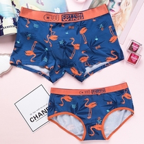 Fashion cartoon flamingo underwear couple cotton breifs women low waist men boxer pants cute gift personality