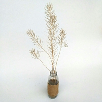 Natural dried flower anchovy everlasting flower DIY dried flower decorative ornaments bouquet real flower photo shooting props