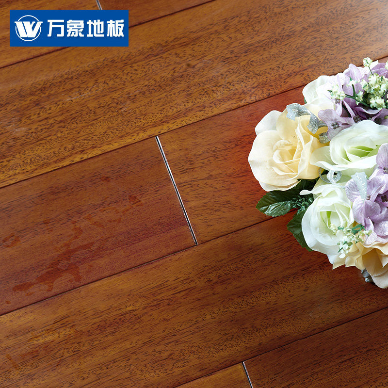 ����ʵľ�ذ�SF101