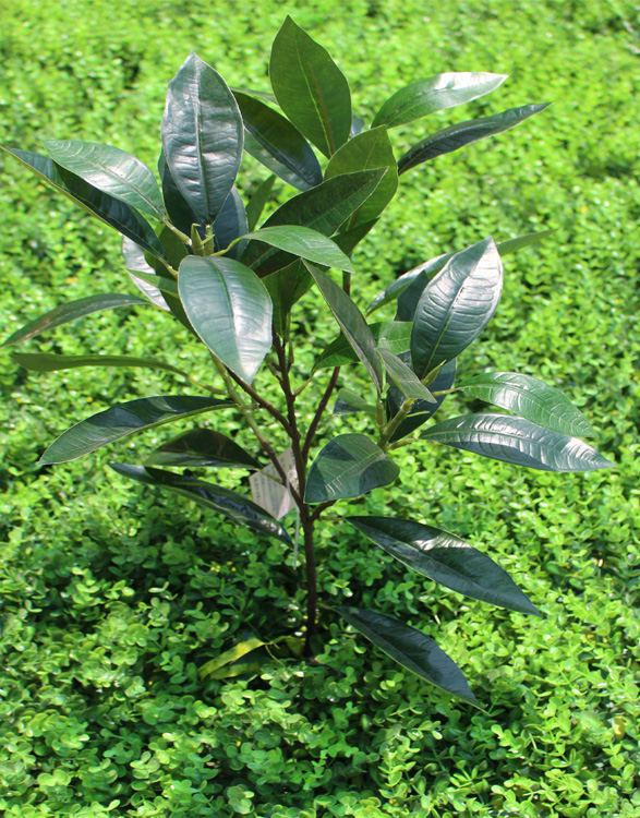 New products emulation plant lychee leaves fake gui flower tree leaves Bauhinia wood leaf green planting shrub decoration pendulum decoration manufacturer direct