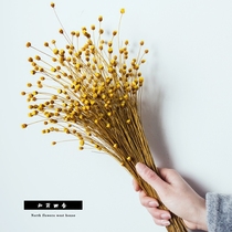 (Pineapple flower) Natural star flower art dried flower branch fresh home decoration bouquet shooting props