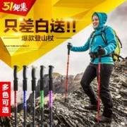 Beishan Sói trekking ngoài trời đi bộ cực đi bộ gậy leo núi mía xử lý thẳng có thể thu vào gấp hợp kim nhôm - Gậy / gậy