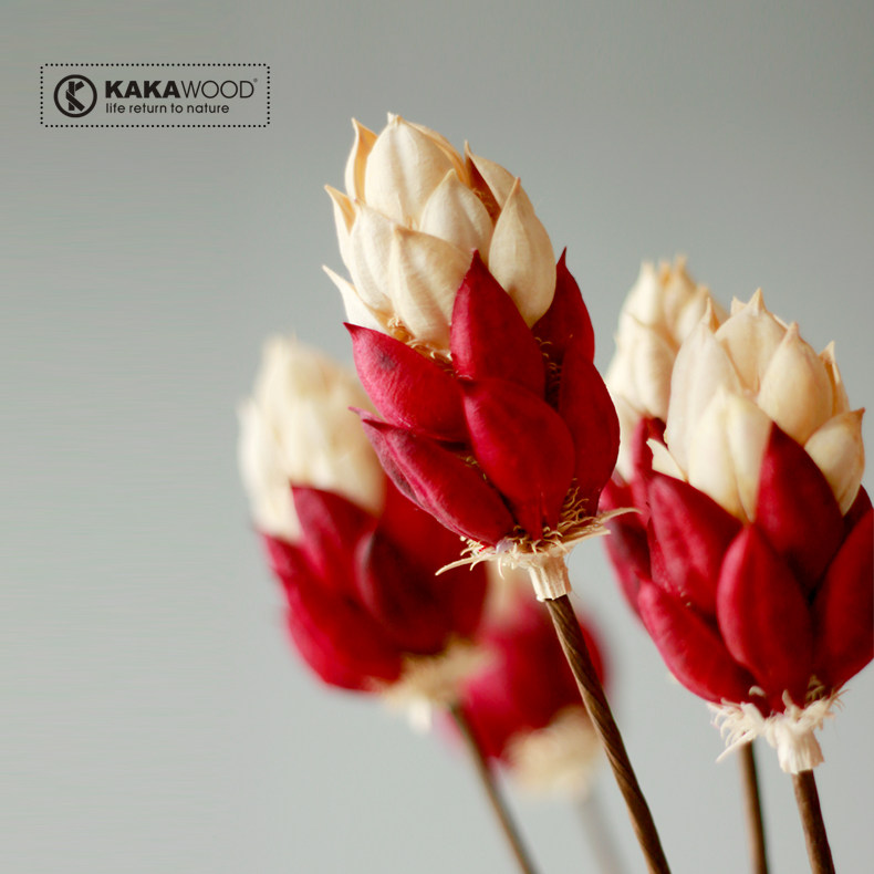 kakawood˫ɫľ�ʻ�/��Ȼ�ɻ�