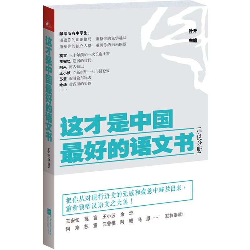 小说分册-这才是中国最好的语文书 正版图书 叶开
