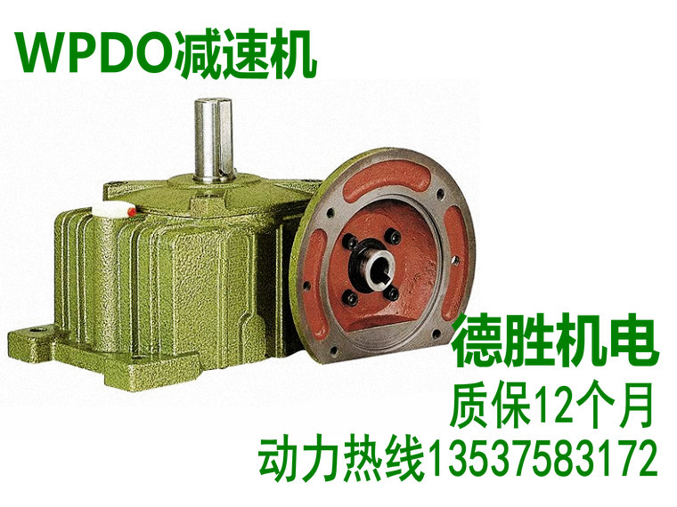 WPDO50 60 70 80100120 worm-worm lever reducer gearbox deceleration ratio 1 10-1 60