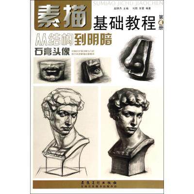 从结构到明暗(石膏头像)/素描基础教程 正版保证 刘胜//张雷|主编:赵锦杰 艺术9787539849560