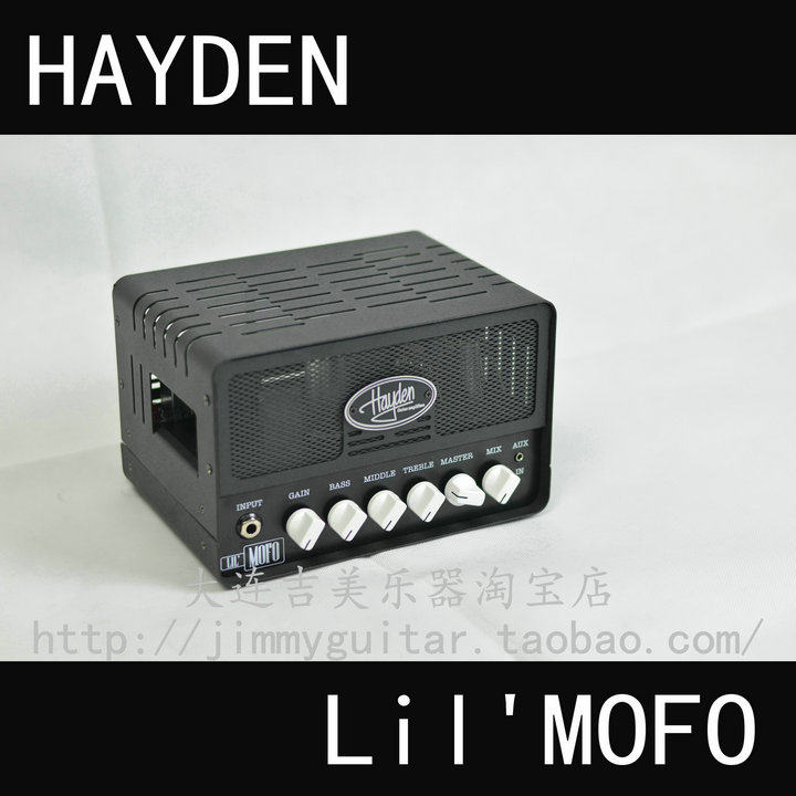 HAYDEN LilMOFO Electric Guitar Vacuum Tube Two-Piece Speaker Amp Head 2W