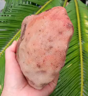 Ningqiang coral Jade fossil snow pattern small chrysanthemum pattern pink stone carving material raw stone play material fine L