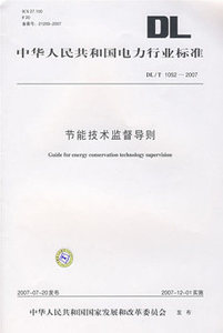 DL/T 1052-2007 节能技术监督导则