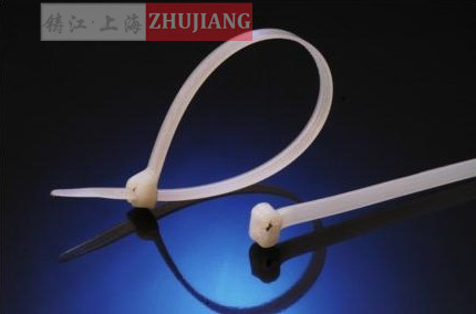 Self-locked nylon strap Anti-pull-beam wire with CHS4*200mm 500 A grade