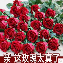 Simulation flowers rose single -supported hand feel moisturizing rose wedding home furnishings dry flower defense true flowers 10 branches free shipping