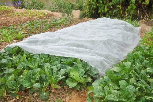 Lawn special agricultural unwoven cloth Wholesale Sichuan Yu