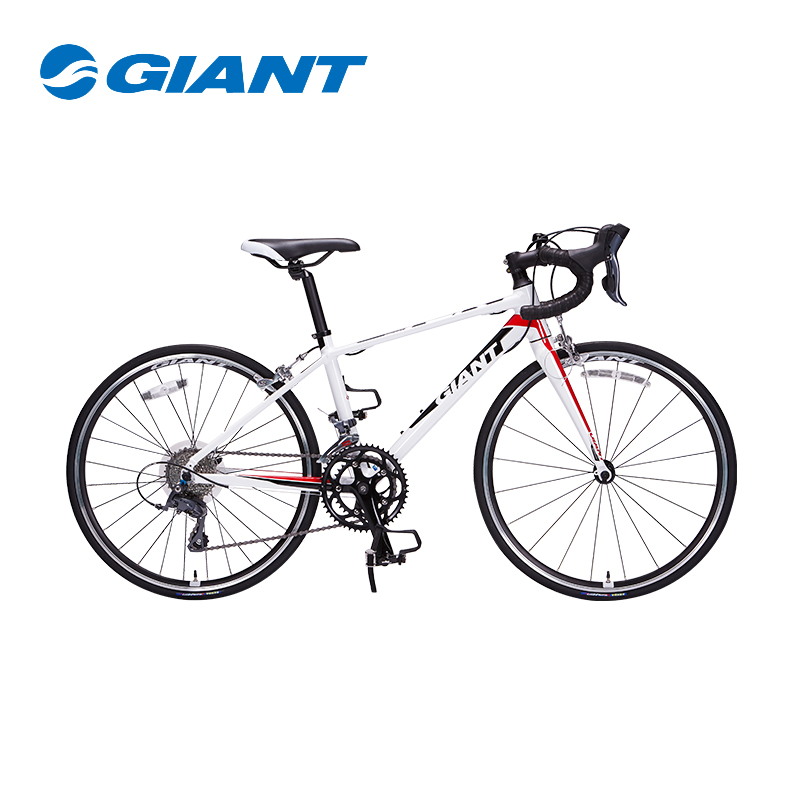 giant tcr 24 inch