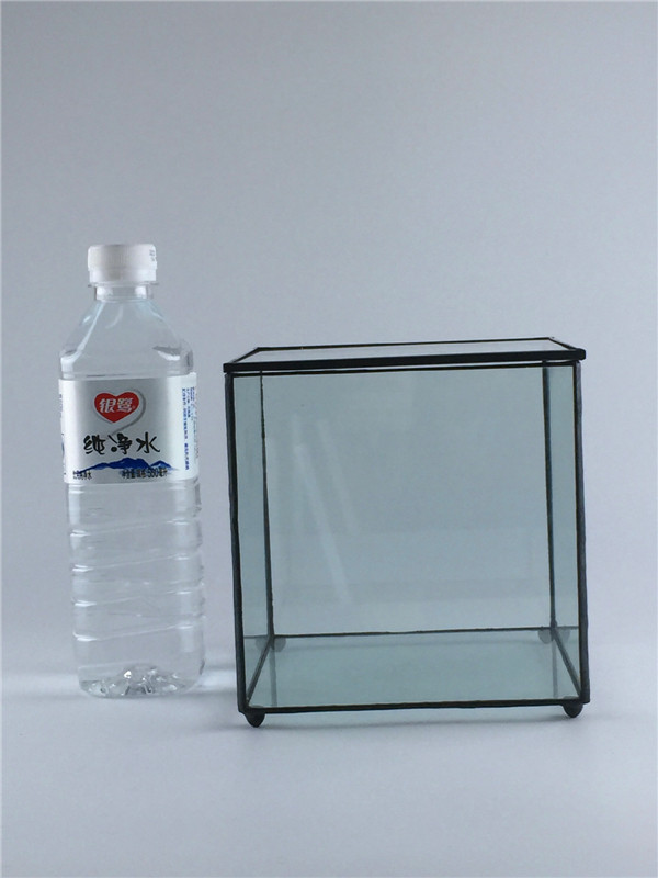 Nordic geometric square glass greenhouse fleshy green plant transparent flower pot wholesale eternal flower gift box Moss micro landscape