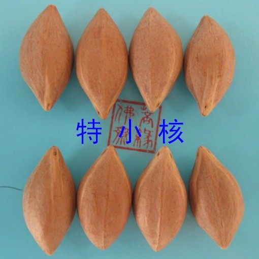 Olive Nuclear Sculptures Raw Material Essays Play The Same Tree Special Little Oil Nuclear Unuclear Special Rohan Mire Handstring Machine Carved Olive Hut