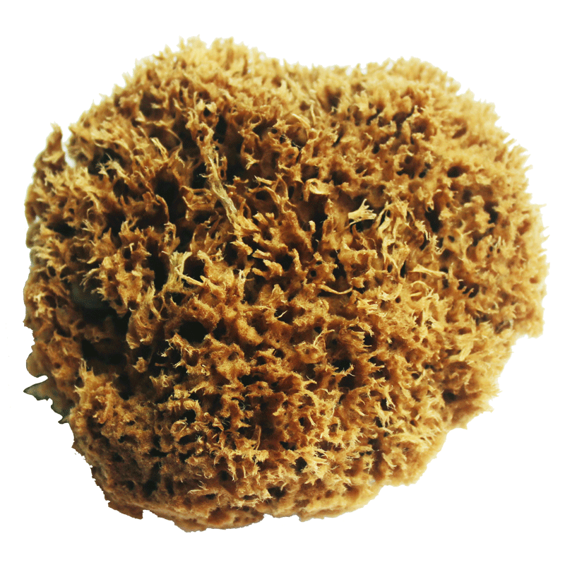 ��ʿ������Ϳ��Һ���ֽTM-HM