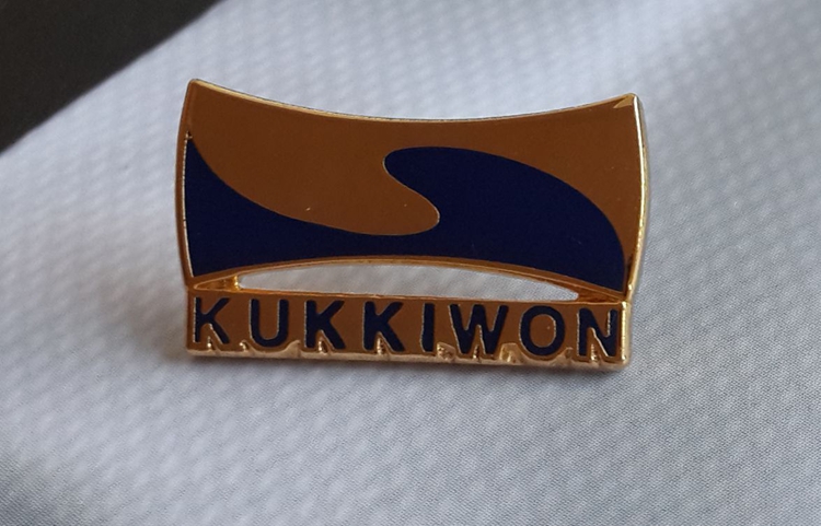 Kukkiwon Badge Taekwondo Brooch Taekwondo badge