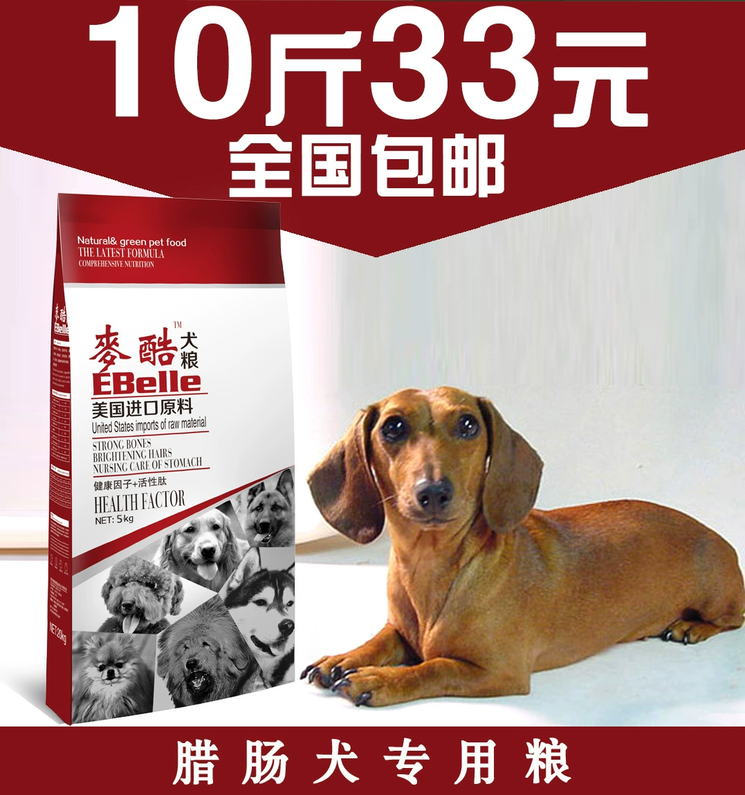 Thức ăn cho chó Dachshund Thức ăn đặc biệt 5kg10kg Chó trưởng thành Chó con Full Dog Thức ăn cho chó Pet Chó tự nhiên Thức ăn chủ yếu trên toàn quốc - Chó Staples