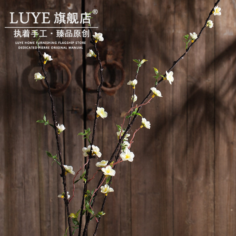 luye�����ٻ�����÷