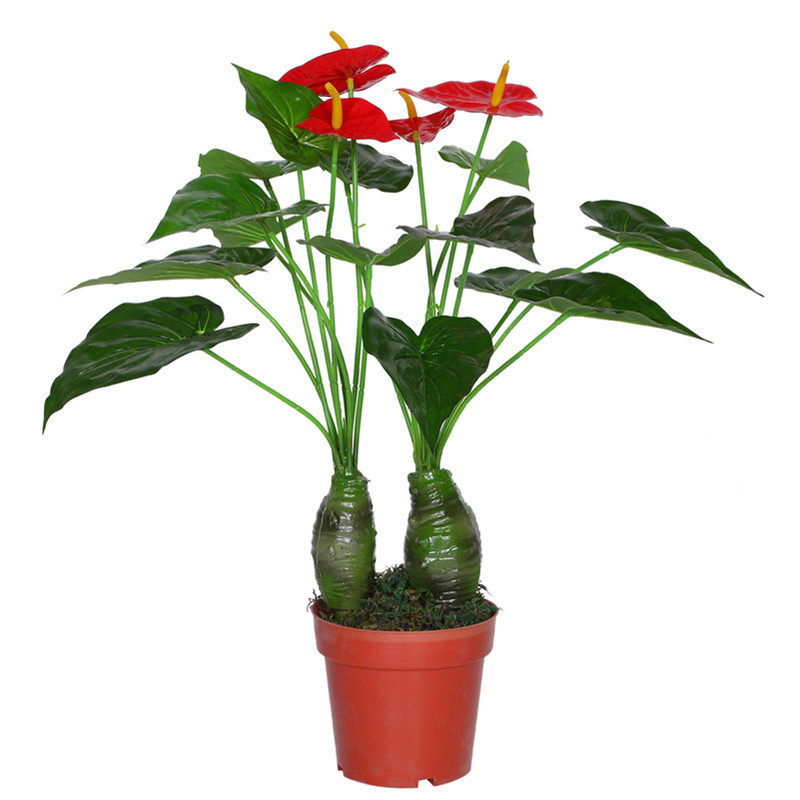 Simulation Flower Simulation Plant Fire Crane Flower Fake Flower Hotel Home Residence Decoration Living Room Floor Potted Foreign Trade Hot Pin