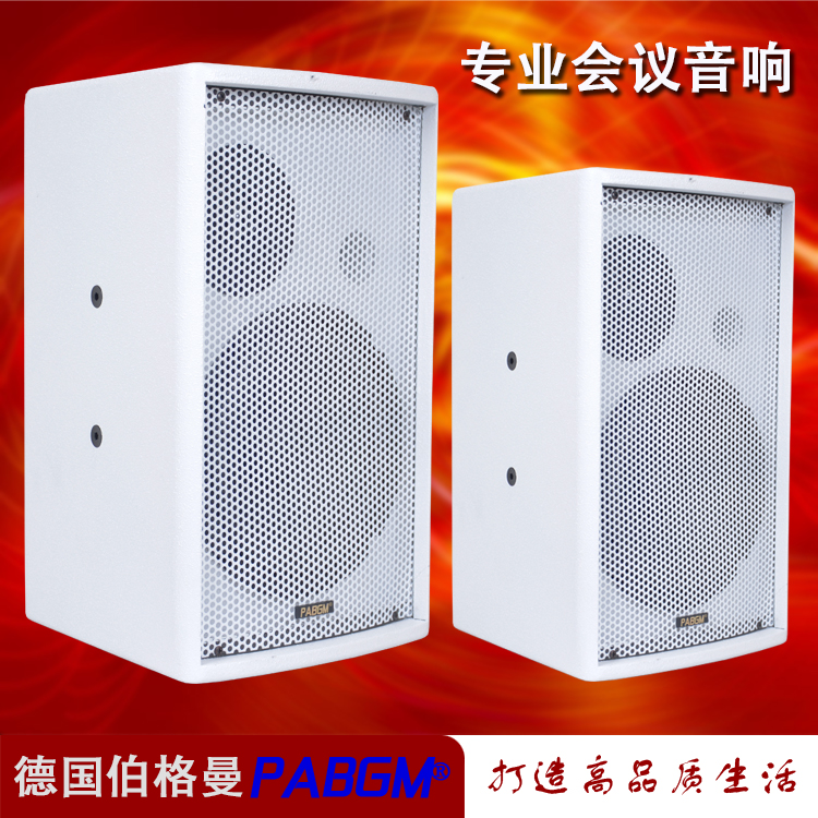 One-to-one sale shopping mall conference room storefront classroom KTV wall-mounted audio professional background speaker 100W