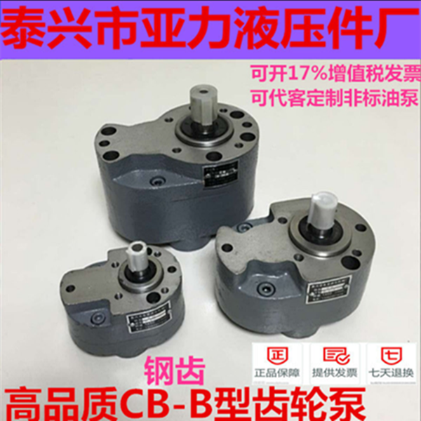 CB-B10 B4 B6F B2 5 B16 B20 B25 B32 B50 B63 B100 B125 Steel gear pump