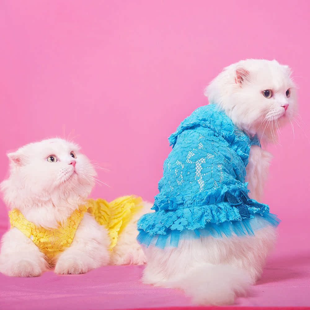 猫咪裙子 带蝴蝶结宠物纱裙猫衣服 宠物保暖服饰秋冬装弹性纱裙
