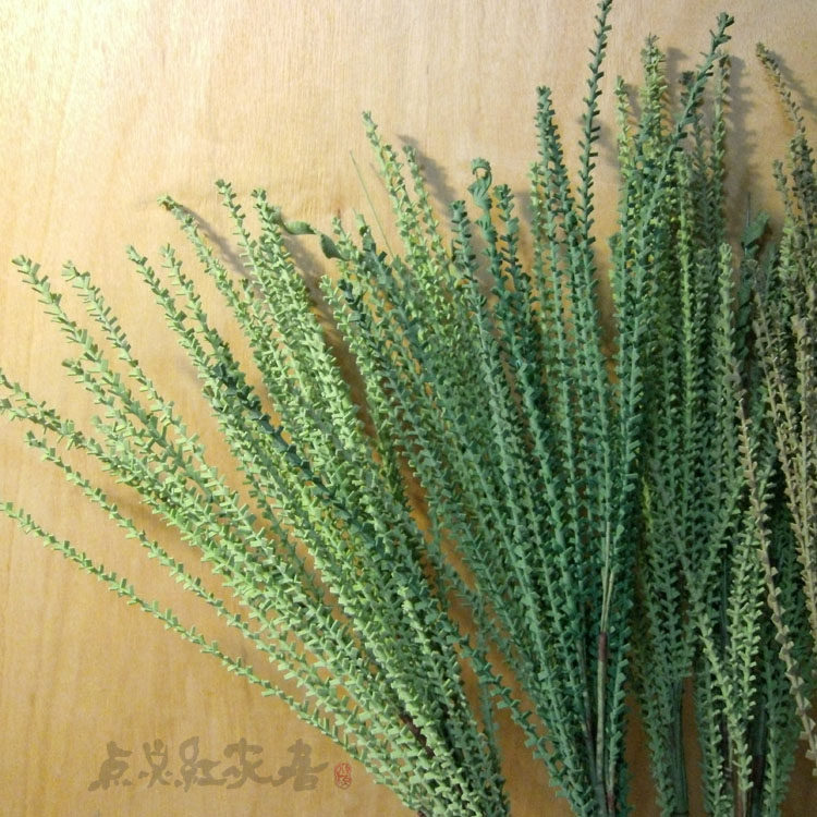 (Spit green willow silk) artificial flower arrangement flower art home furnishing foreign trade export