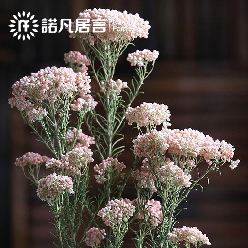 ŵ���ɻ������滨20170326