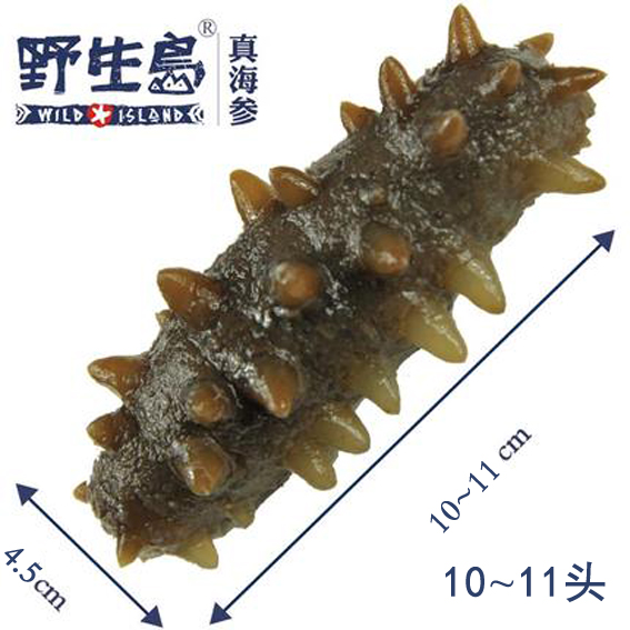 Wild Island Sea Cucumber Deep Sea Wild Ready-to-Eat Sea Cucumber Wild Sea Cucumber Gift Box 500g SF