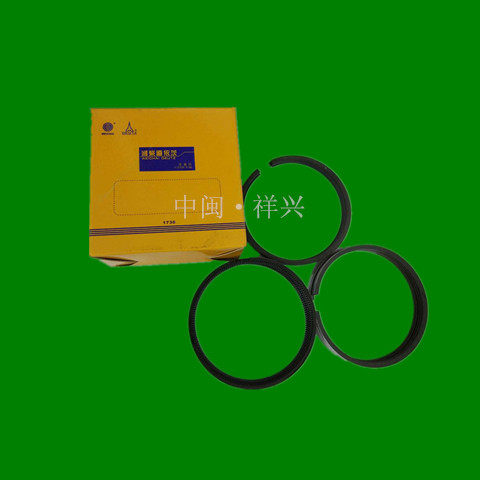 Weichai Deutz Diesel Engine Parts Engine Parts Deutz 226B Piston Ring