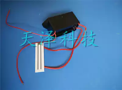 220V 500 mg chip ozone generator (ozone chip power supply) air treatment purification accessories