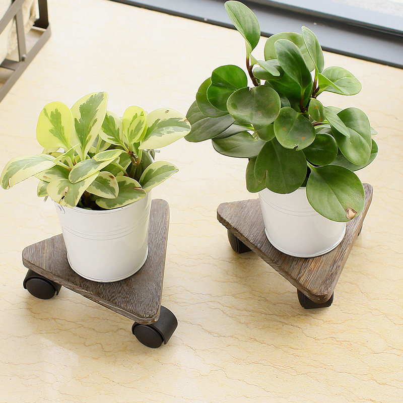 ŷ���ܿ�����������ʽͩľ���ֻ�̨1��2ֻ109863