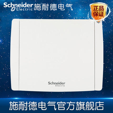 Schneider Electric Strong Electric Box Distribution Box Distribution Box Switch Box 12-circuit Dark Tianyi White