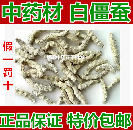 Chinese herbal medicine white zombie silkworm white stiff and stiff and stiff for free grinding of powder 500 gr