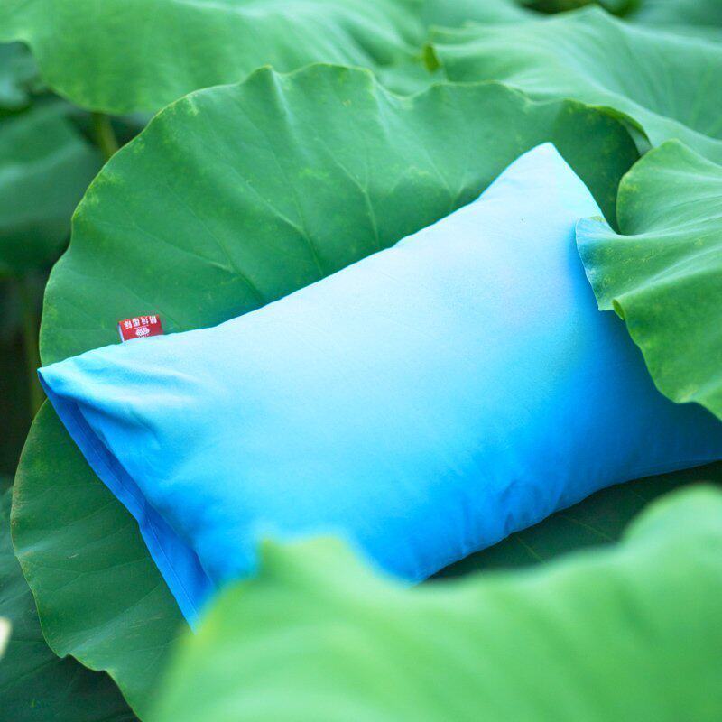 ��粼ҷĵ�������hmzt01