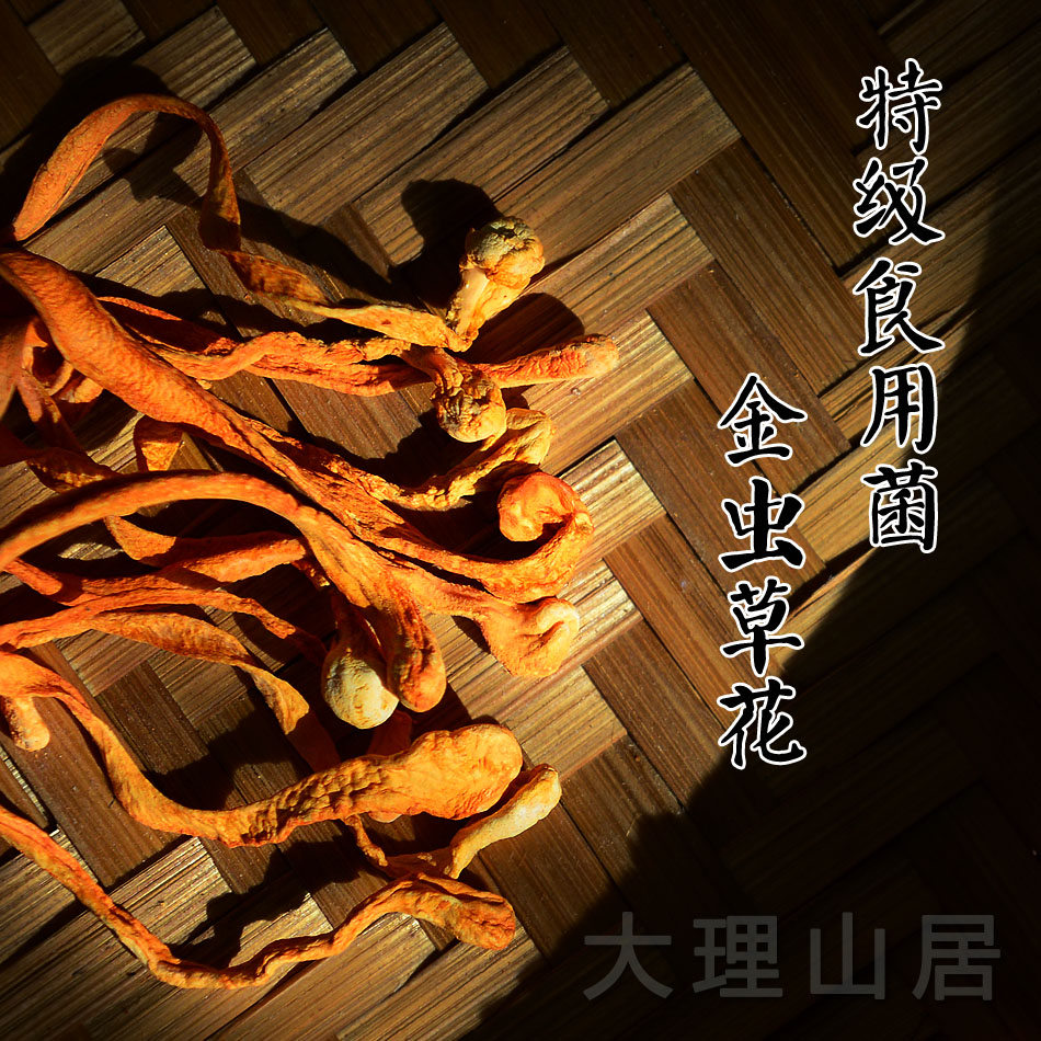 Great Science Mountain Residente Zhengzong Chizong Worm Grass Flower Class Edible Mushroom Non North Caterpillar Fungus caterpillar fungus 100 gr