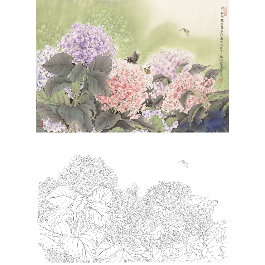 Fine brushwork line drawing manuscript physical hook line printing manuscript Zhang Keqi hydrangea flowers and birds 66*96 with color pattern A514