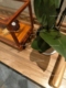 Tủ đựng đồ cũ hiện đại của Trung Quốc Elm Zen cũ cho bàn ra vào bàn cũ - Bàn / Bàn bàn xếp gỗ Bàn / Bàn