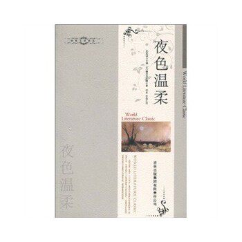 正版包邮夜色温柔正品图书书籍