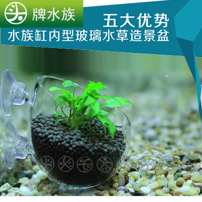 Water grass box mini water grass feeding glass landscaping pot glass water grass pot tank water grass cultivation cup special offer