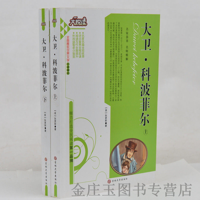 大卫·科波菲尔（上下）两册 大悦读 世界文学名著精粹 中学生课外书 小学生三四五六年级课外书 写作背景+内容梗概+赏析+人物特色