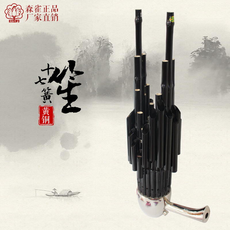 Senock Instrumental Beginology Type Playing Sheng High-end Professional 17 Spring Expanded Soundtrack Sheng seventeen Spring Sheng Support Set