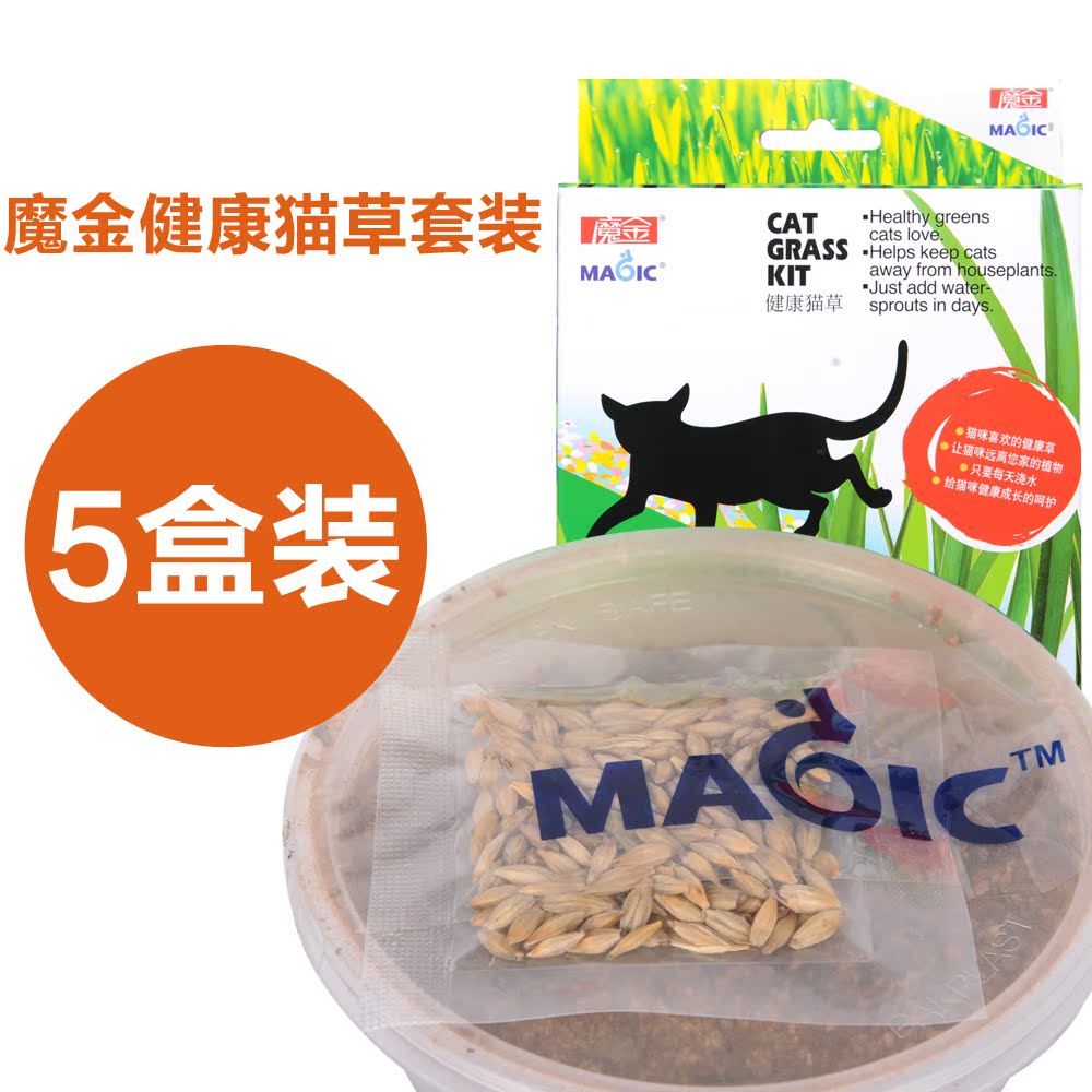 魔金健康猫草套装*5套装 猫草种子去毛球猫咪薄荷天然猫咪零食