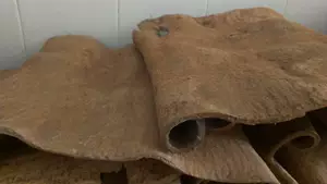 Корица очищенная, корица специальная, разрыхлитель, корица, Гуанси-Чжуанский автономный район 500г