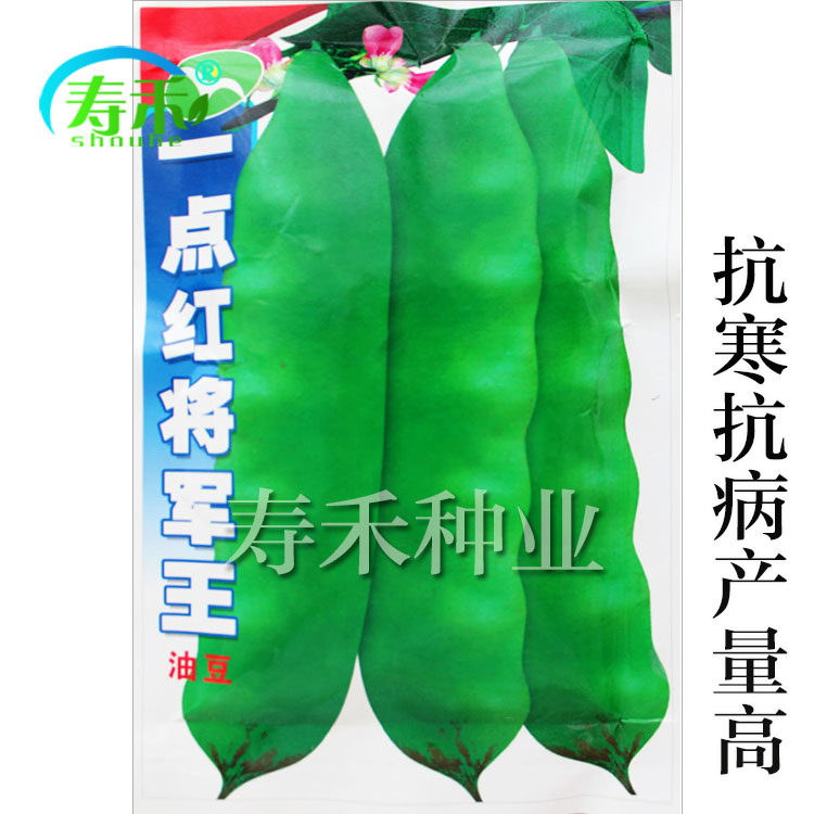 A little red general oil bean seed oil bean seed high yield bean kidney bean vegetable seed